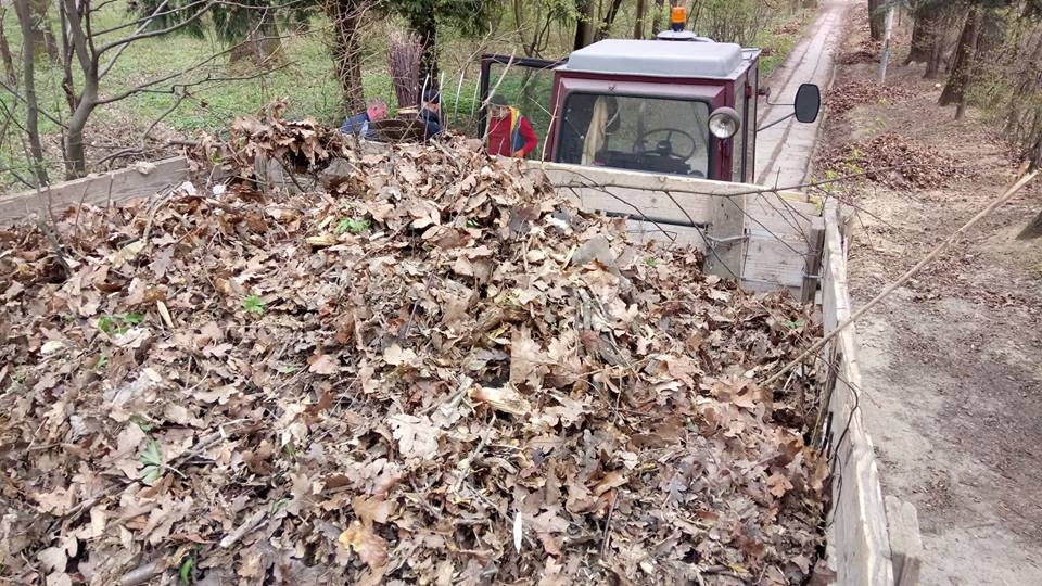 Загальноміська толока