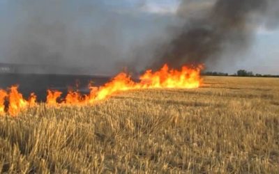 Шановні мешканці та відпочивальники міста Моршина!