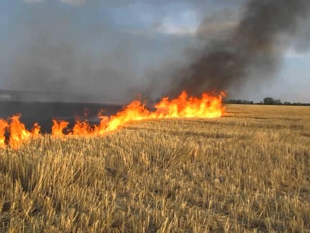 Шановні мешканці та відпочивальники міста Моршина!